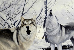 original painting by Daniel Renn Pierce of two Gray Wolves in the snow