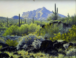 original painting by Denis Milhomme of the Sonoran Desert