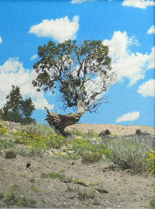 an original painting of a Bristlecone Pine by Susan Austin