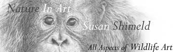 Susan Shimeld Baby Orang Banner